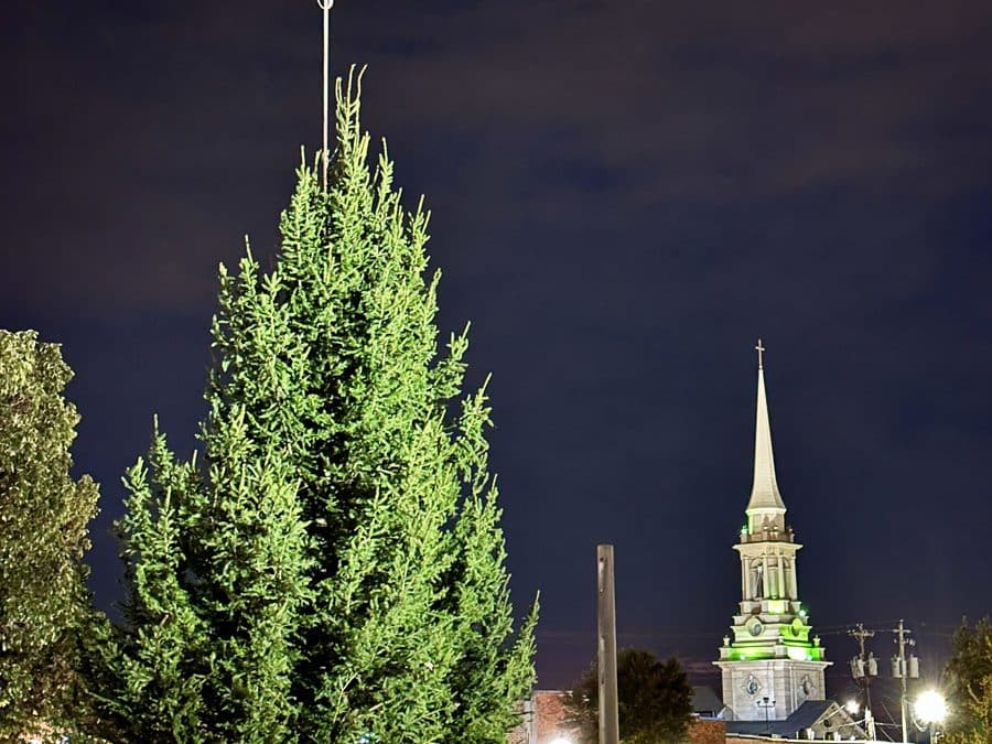 The Great Tree was delivered to historic Lawrenceville Square [Photos]