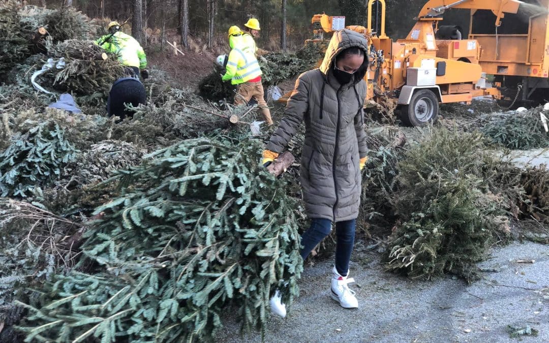 Gwinnett Clean & Beautiful to Host One of Georgia’s Largest Treecycling Events