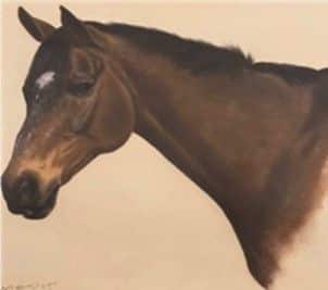 Horse painting