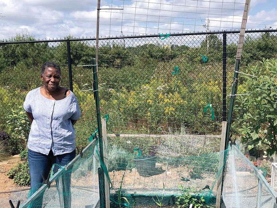 Harvest Gwinnett: Fighting Food Insecurity While Building Community