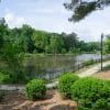 walking path, lake, and park surrounded by green trees