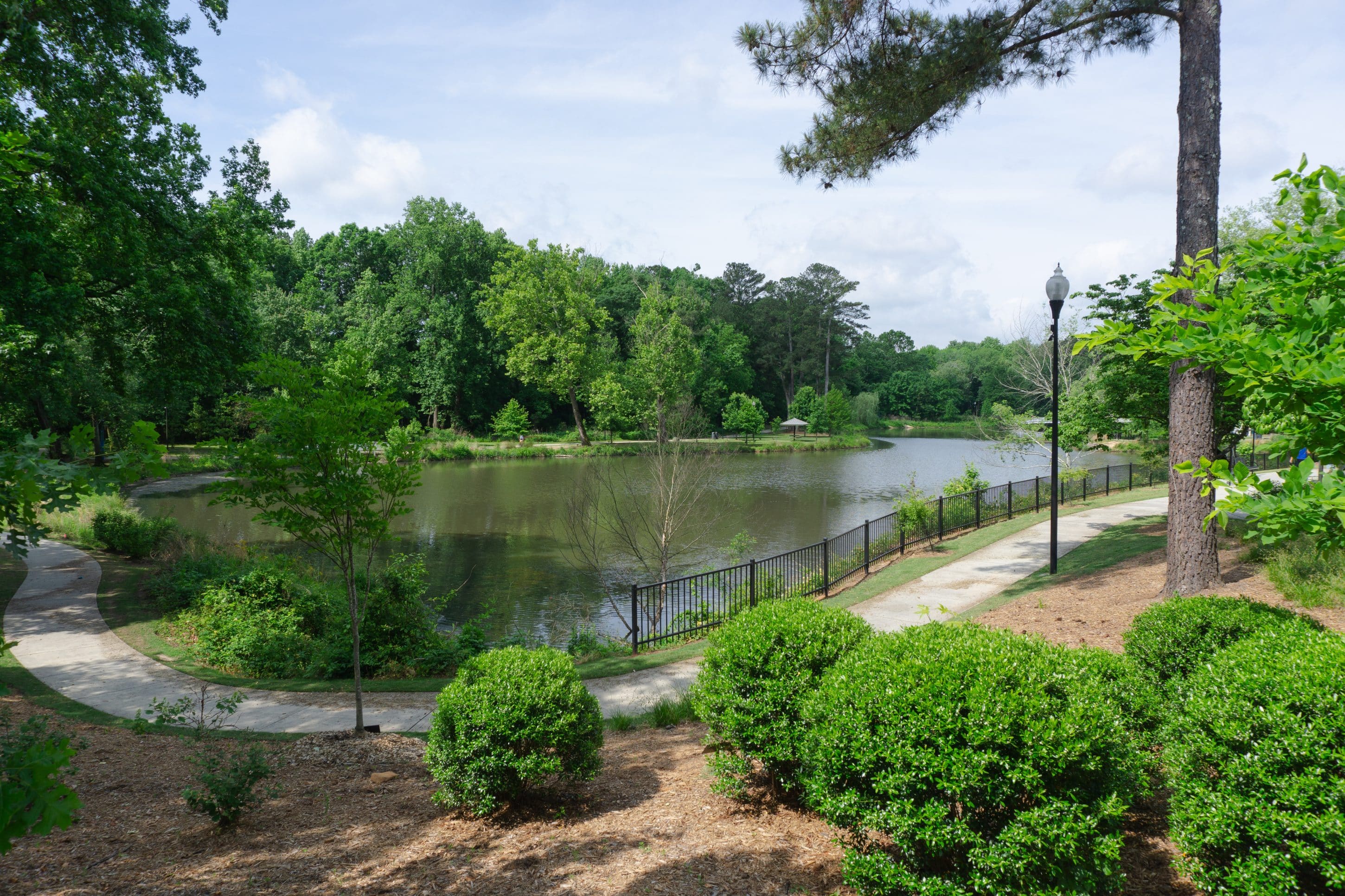 walking path, lake, and park surrounded by green trees