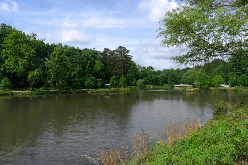 lake and trees in a park