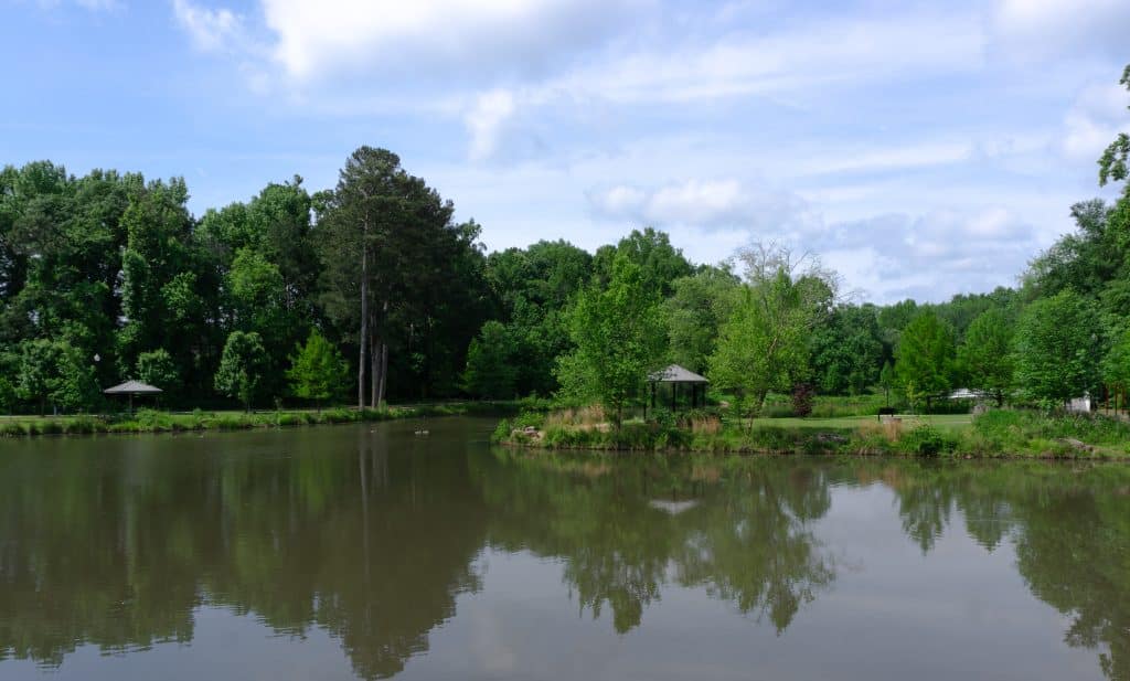 lake and trees at public park