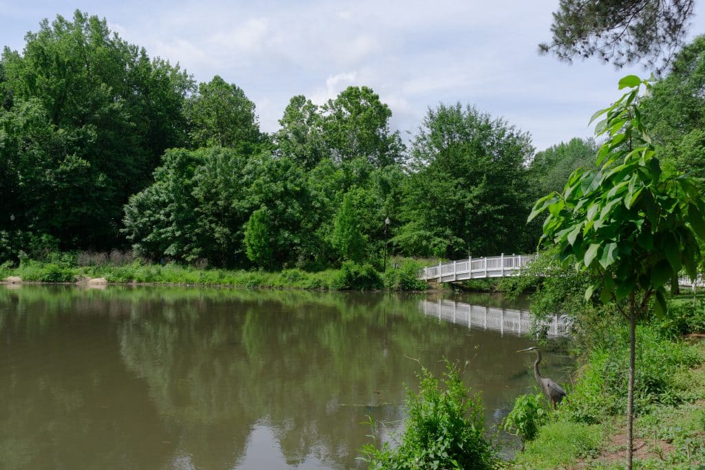 green trees around a lake and a white pedestrian bridge