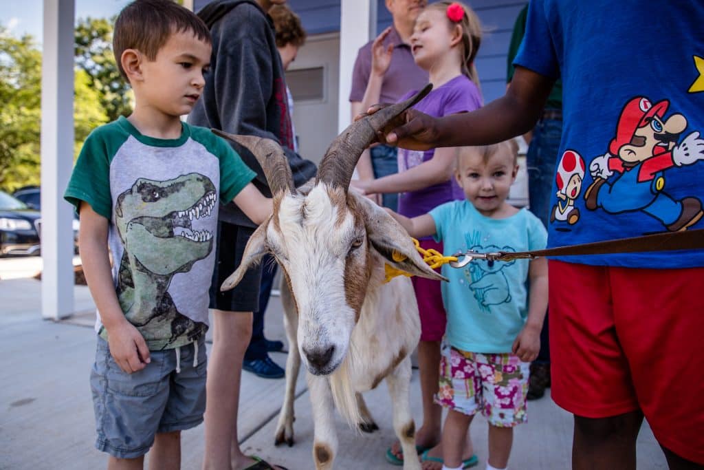 Young children hanging out with a goat who is on a leash