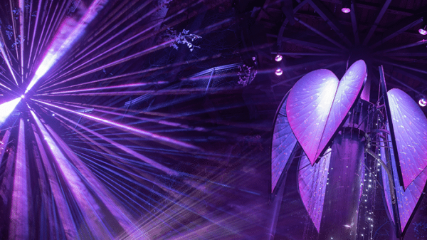 Purple light display in an outdoor, wooded setting at night