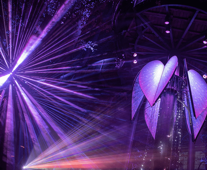 Purple light display in an outdoor, wooded setting at night