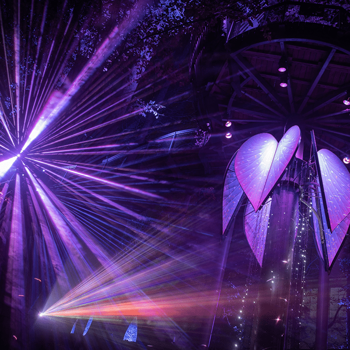 Purple light display in an outdoor, wooded setting at night