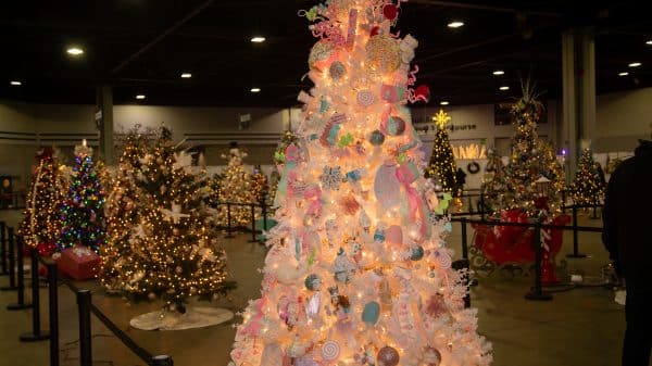 Lit up Christmas trees display at the Georgia Festival of Trees