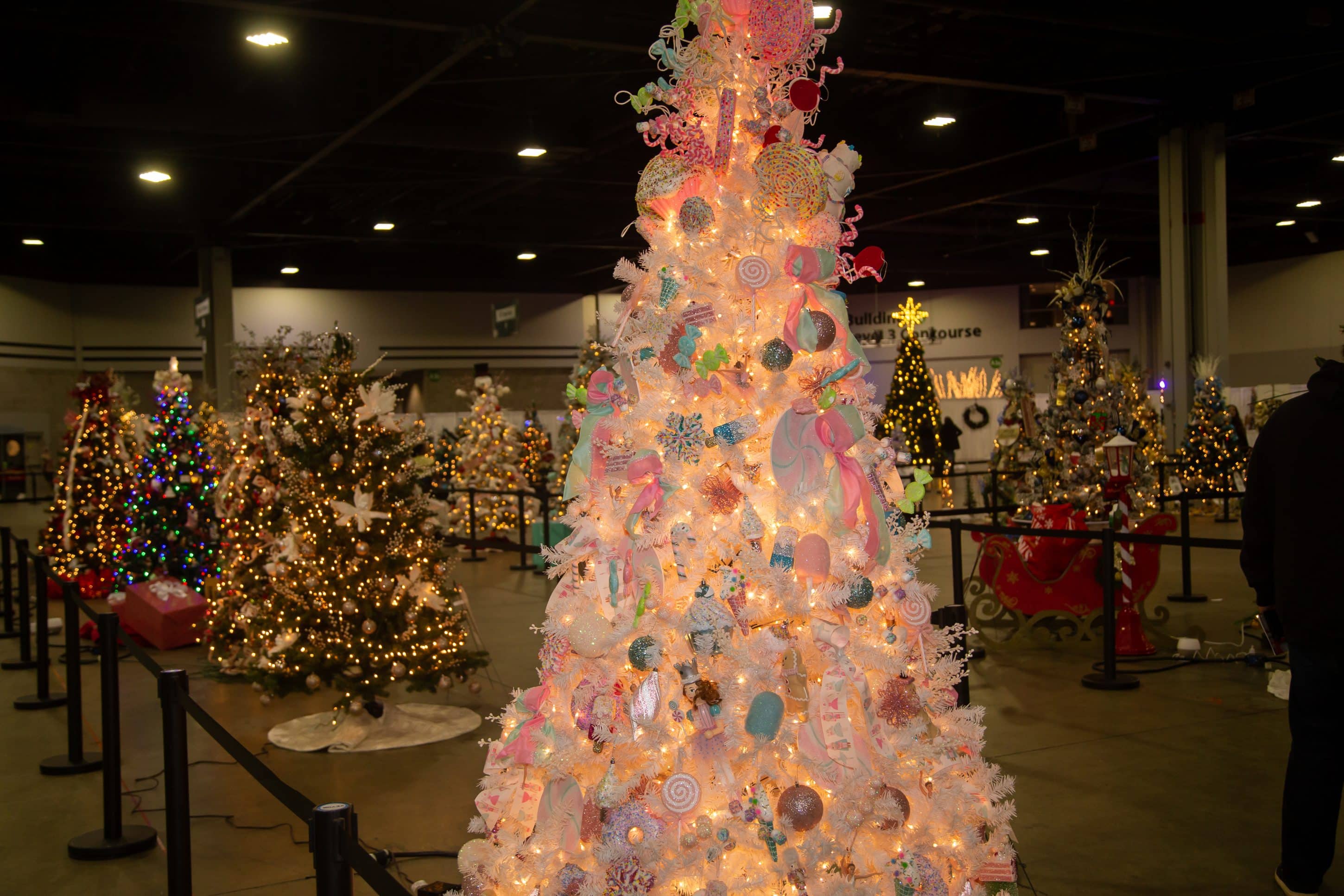 Lit up Christmas trees display at the Georgia Festival of Trees