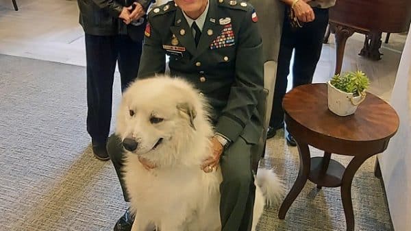 US Military veteran with his dog at an event