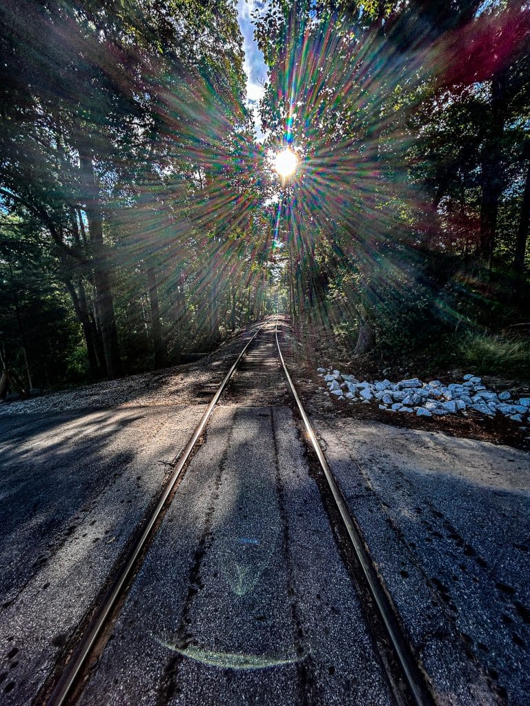 Sunlight shining through thick trees onto a railroad track that is running out and into the distance from the camera.