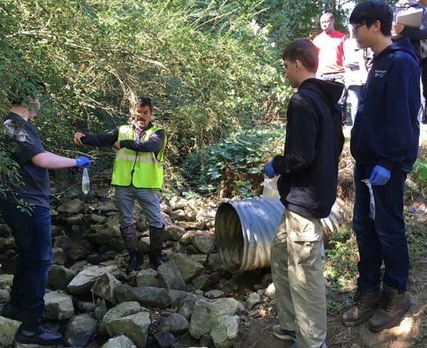 a group of students studying water quality in a small stream in a wooded area