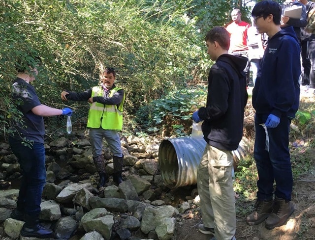 a group of students studying water quality in a small stream in a wooded area