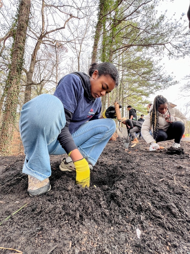 Volunteers doing park cleanup and planting as part of MLK Day of Service in Dunwoody 2024