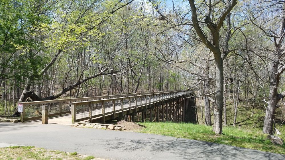 Long pedestrian bridge with railings in a wooded park