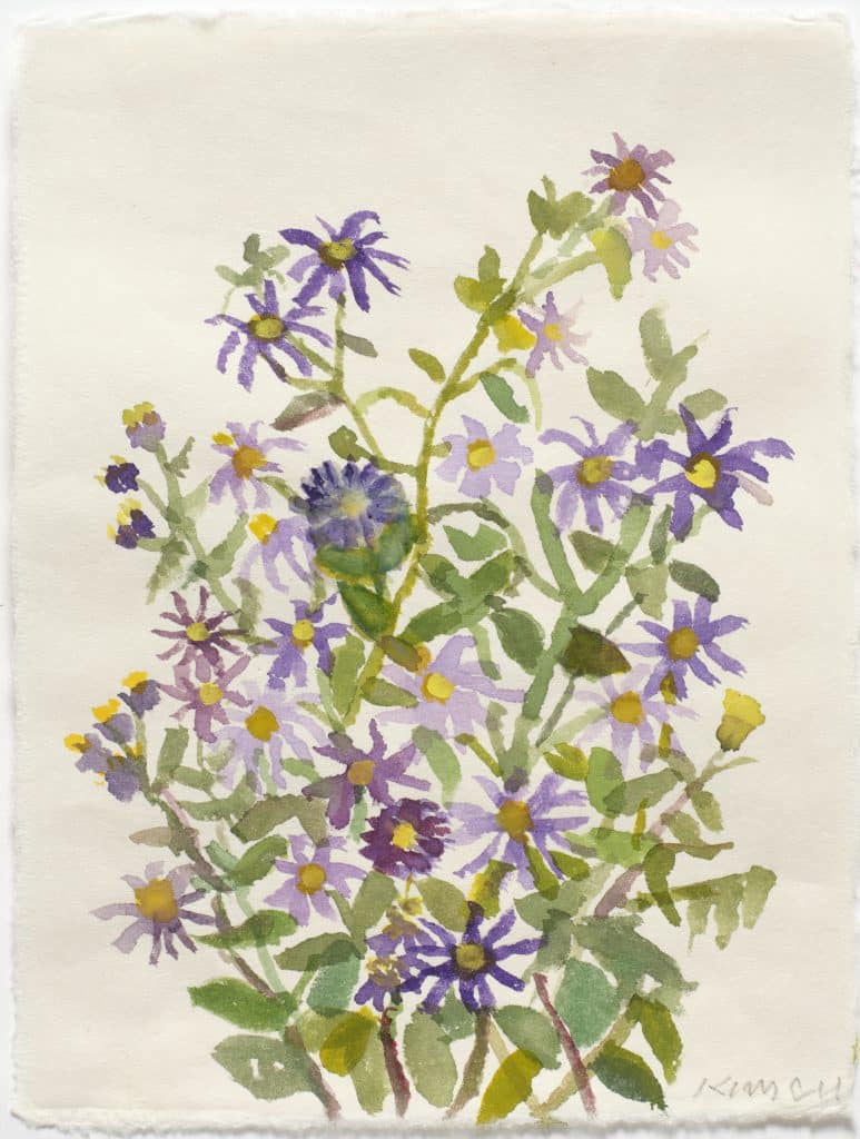 A botanical study of purple flowers with green leaves on a cream-colored background.