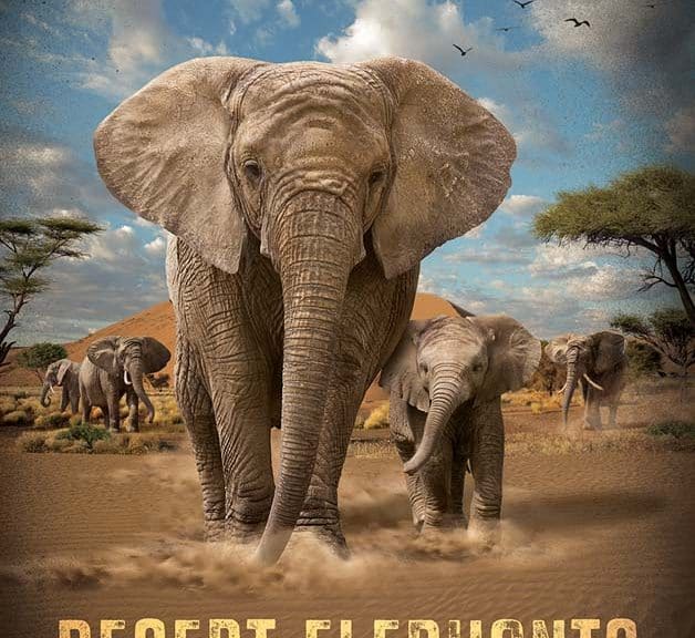 Poster for the Desert Elephants IMAX film, showing a large elephant with an elephant calf with desert landscape, scrubby trees and blue sky overhead