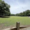An open field at Simpsonwood Park in Peachtree Corners. There are rows of trees in the background and you can see the top of a brown wooden fence in the foreground