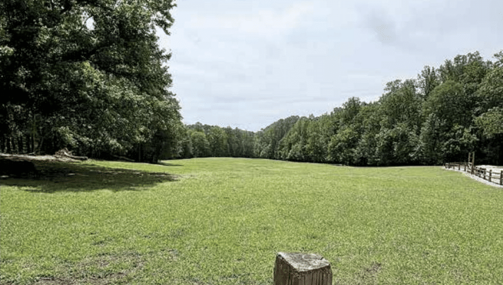 An open field at Simpsonwood Park in Peachtree Corners. There are rows of trees in the background and you can see the top of a brown wooden fence in the foreground