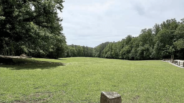An open field at Simpsonwood Park in Peachtree Corners. There are rows of trees in the background and you can see the top of a brown wooden fence in the foreground