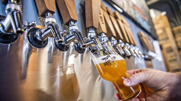 Beer being poured from draft at Social Fox Brewing.
