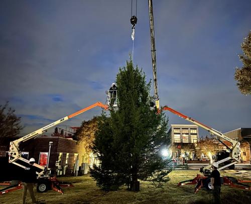 The Great Tree, City of Lawrencville 2022